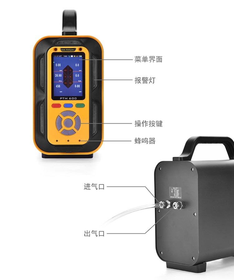PTM600手提式復(fù)合型氣體分析儀