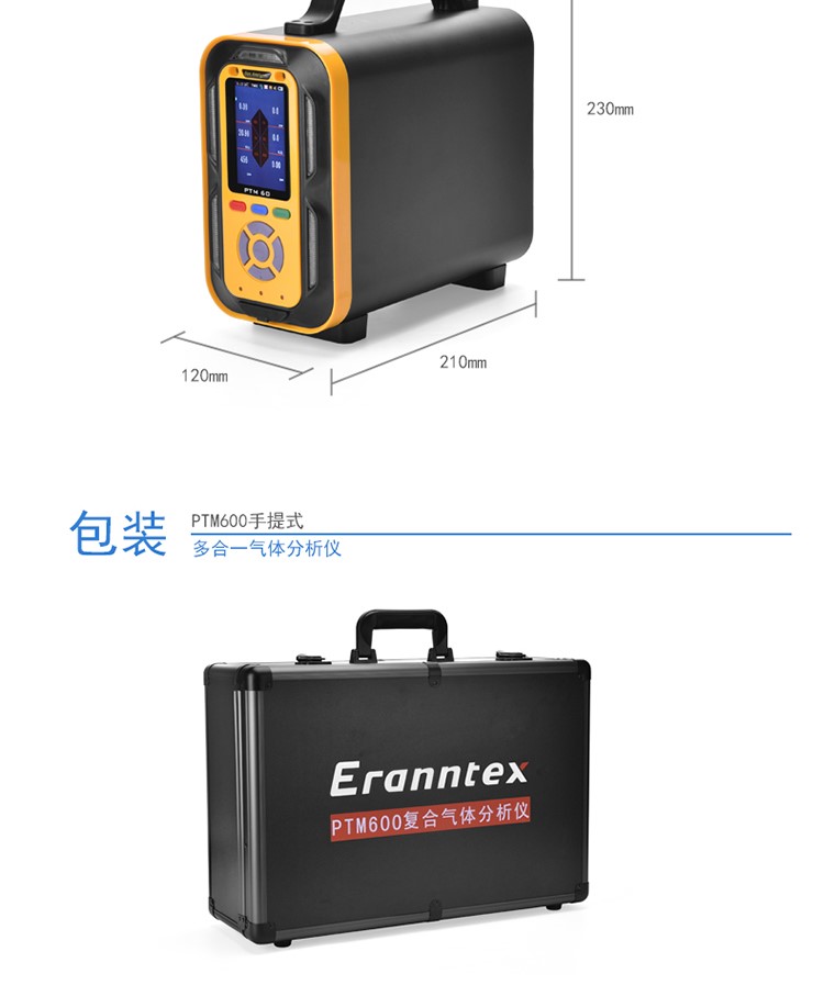 PTM600手提式復(fù)合型氣體分析儀